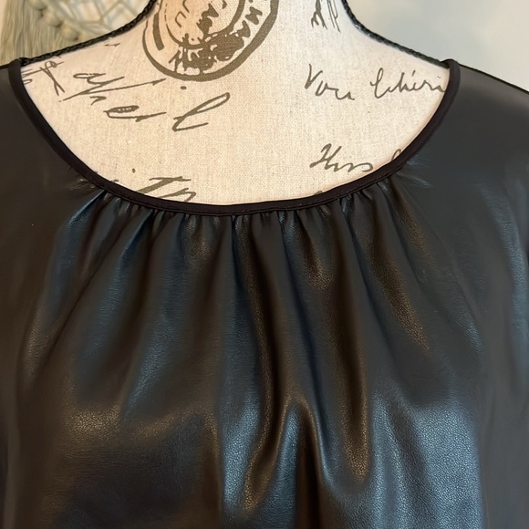 Ann Taylor Factory Faux Leather Spandex Back Zipper - Picture 2 of 6